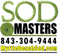 Myrtle Beach Sod